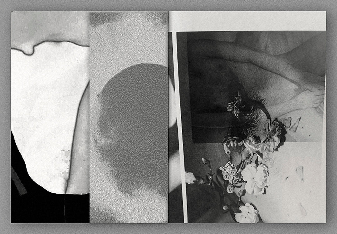 Dialogues on becoming matter by Martha Micali and Klim Kutsevskyy - Tipi bookshop