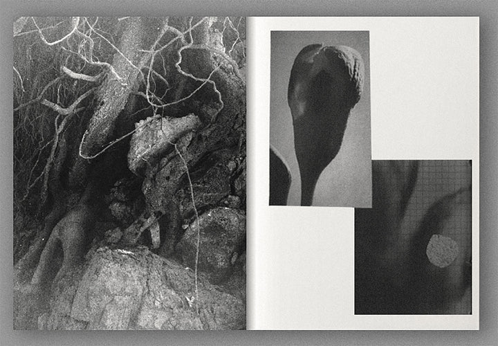 Dialogues on becoming matter by Martha Micali and Klim Kutsevskyy - Tipi bookshop