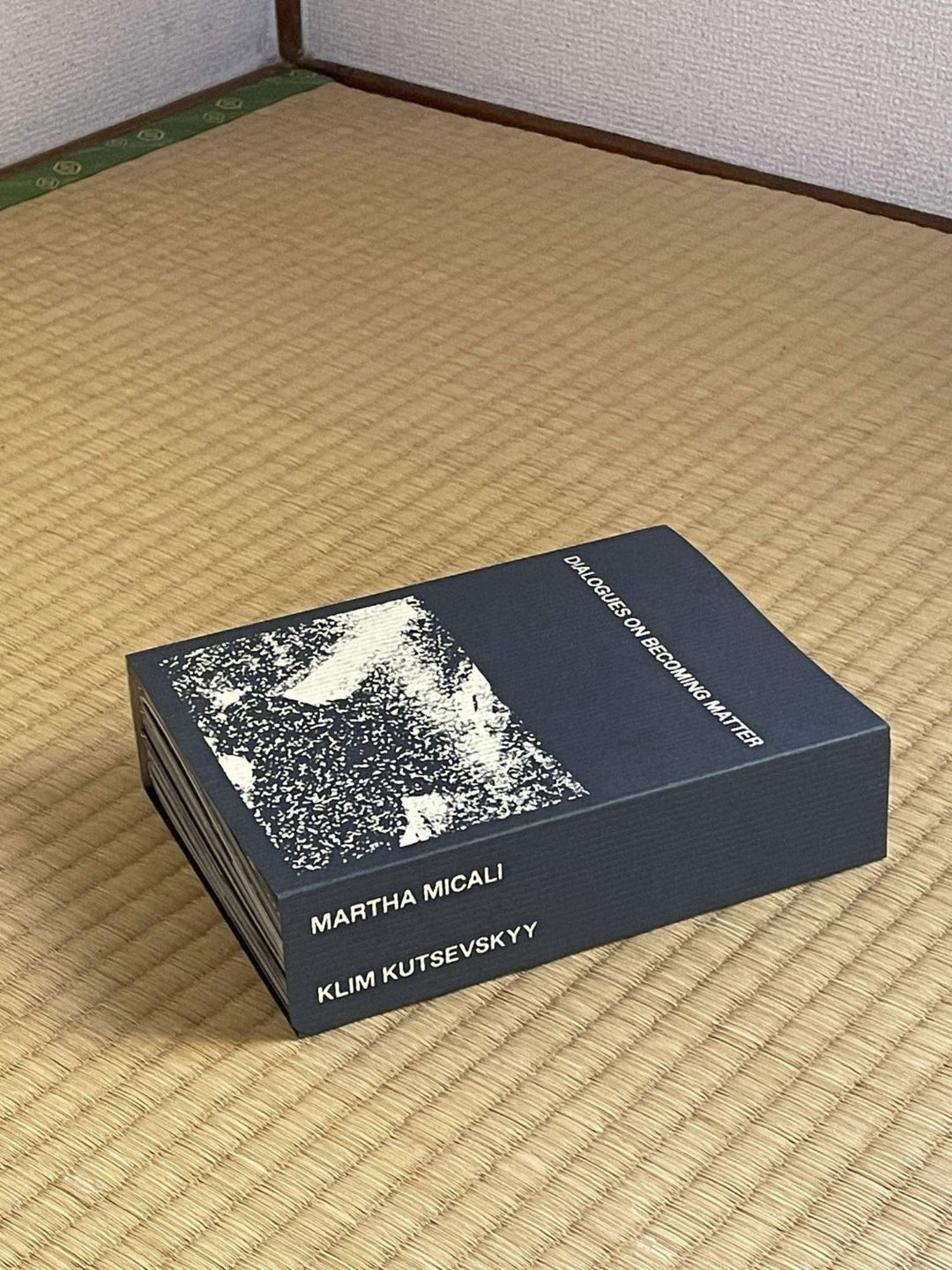 Dialogues on becoming matter by Martha Micali and Klim Kutsevskyy - Tipi bookshop