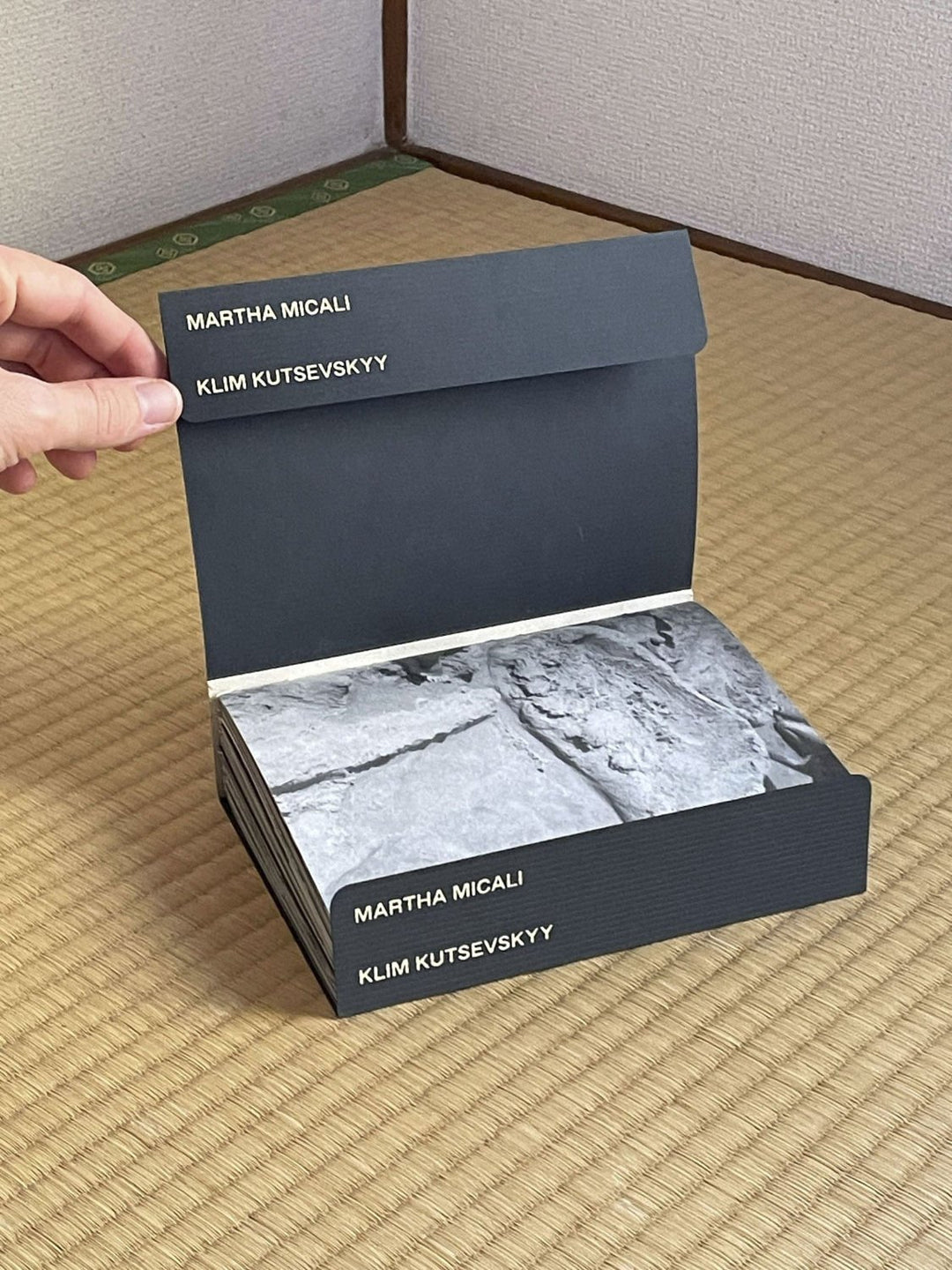 Dialogues on becoming matter by Martha Micali and Klim Kutsevskyy - Tipi bookshop