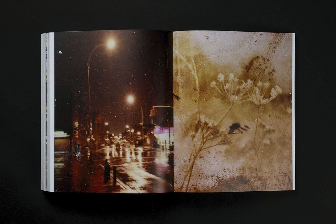 Dimma Brume Mist by JH Engström - Tipi bookshop