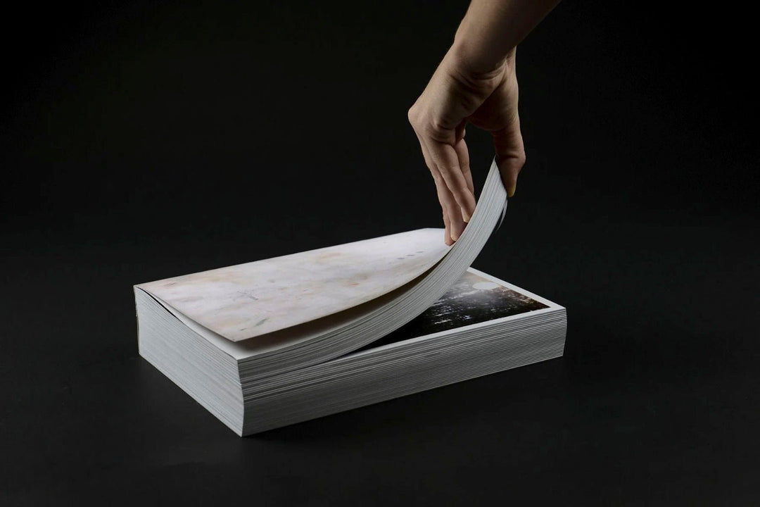 Dimma Brume Mist by JH Engström - Tipi bookshop