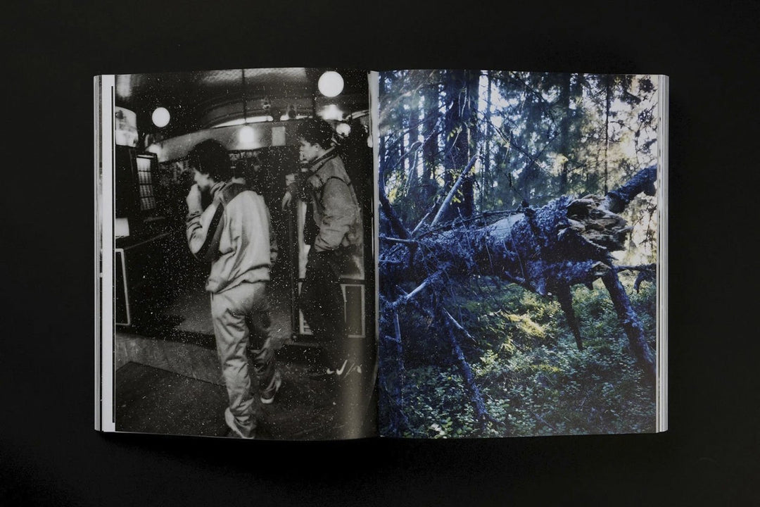 Dimma Brume Mist by JH Engström - Tipi bookshop