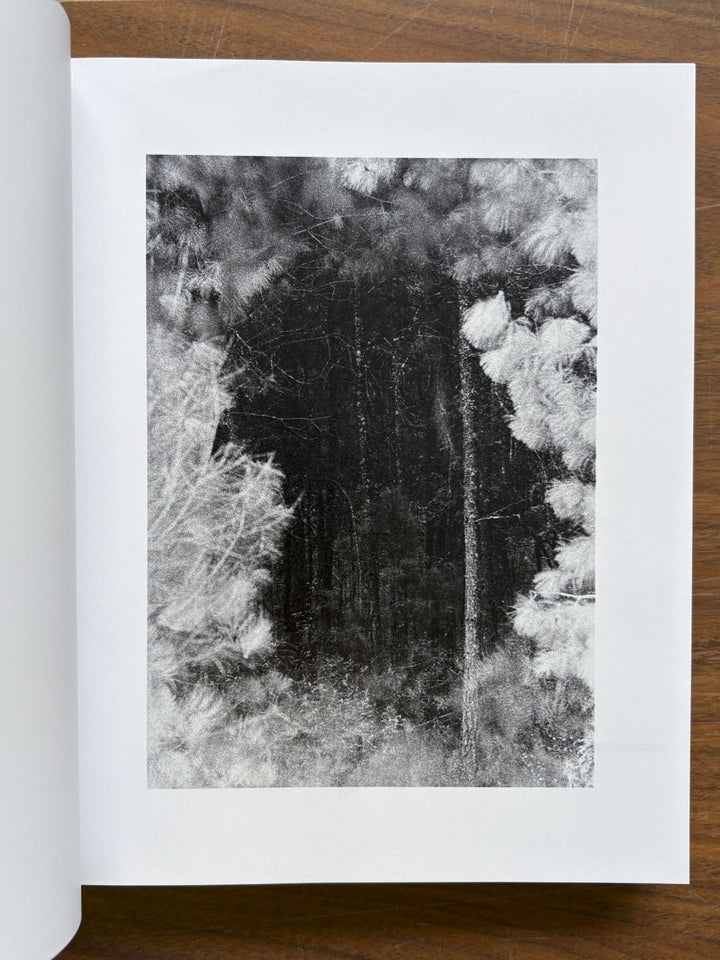 Distribution by Daniel Shea - Tipi bookshop