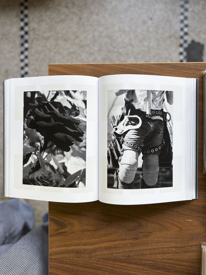 Distribution by Daniel Shea - Tipi bookshop