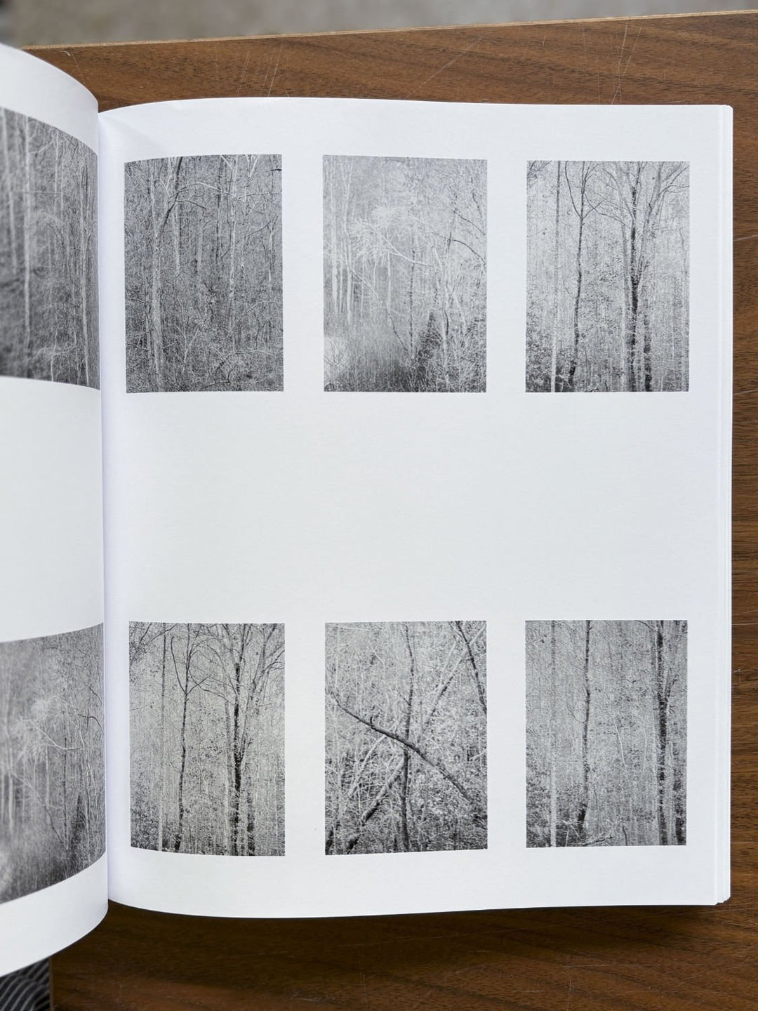 Distribution by Daniel Shea - Tipi bookshop