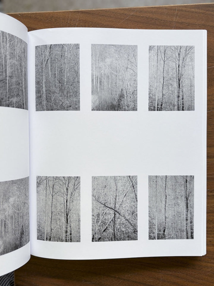 Distribution by Daniel Shea - Tipi bookshop
