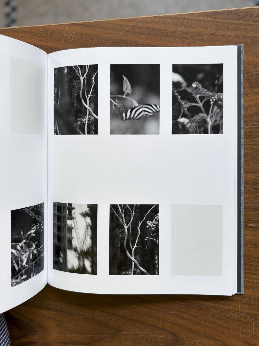 Distribution by Daniel Shea - Tipi bookshop