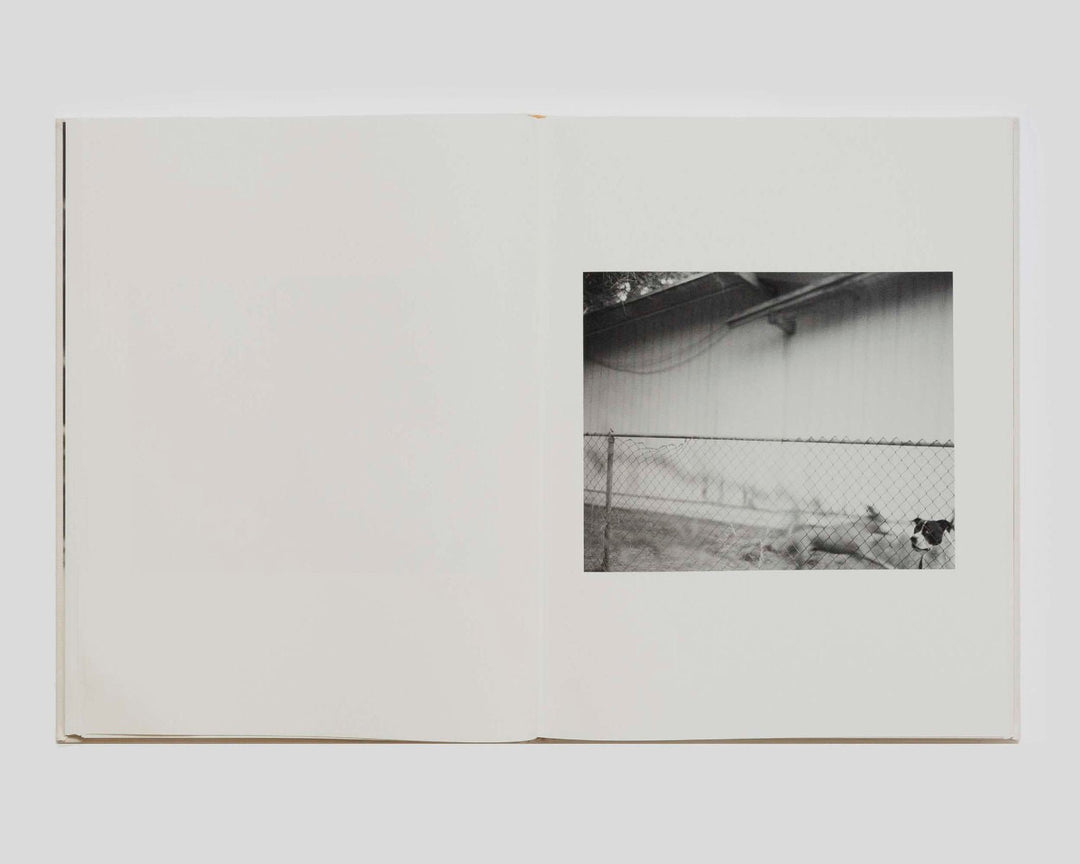 Dogbreath by Matthew Genitempo Signed - Tipi bookshop