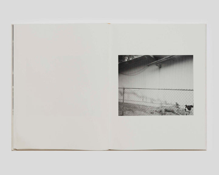 Dogbreath by Matthew Genitempo Signed - Tipi bookshop