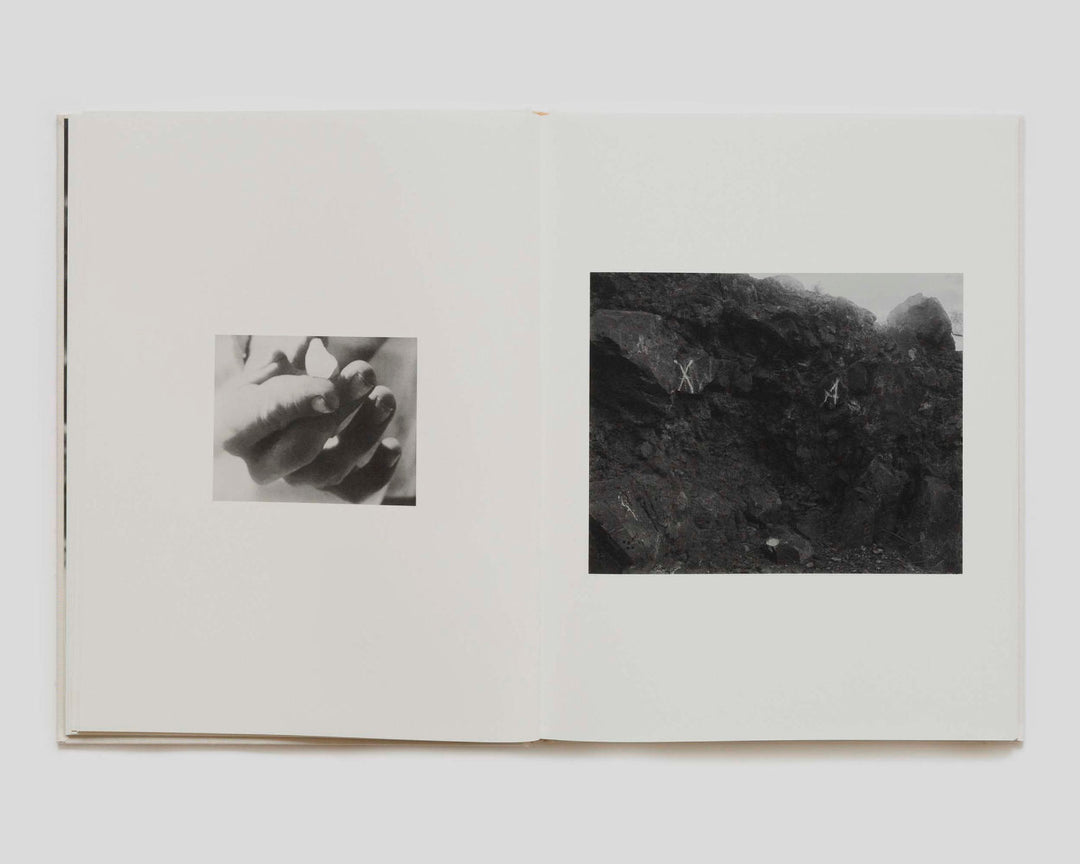 Dogbreath by Matthew Genitempo Signed - Tipi bookshop