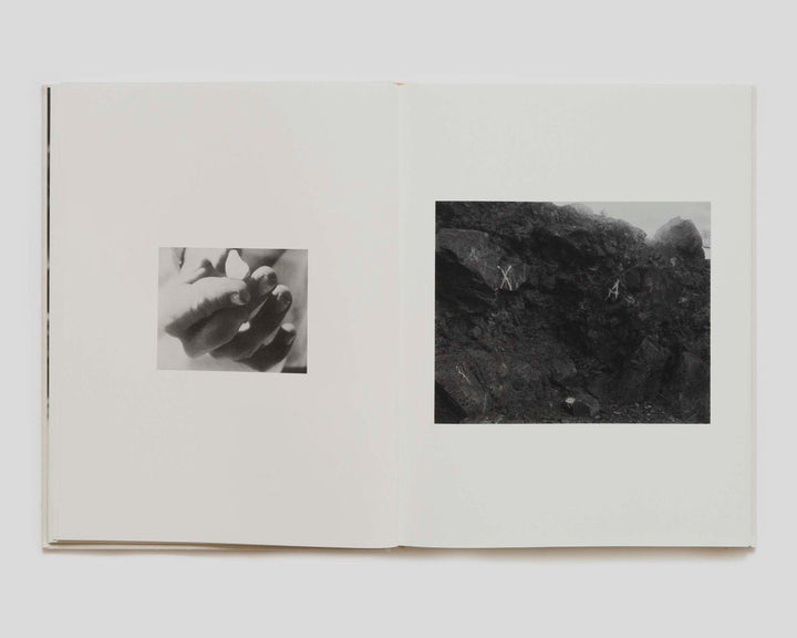Dogbreath by Matthew Genitempo Signed - Tipi bookshop