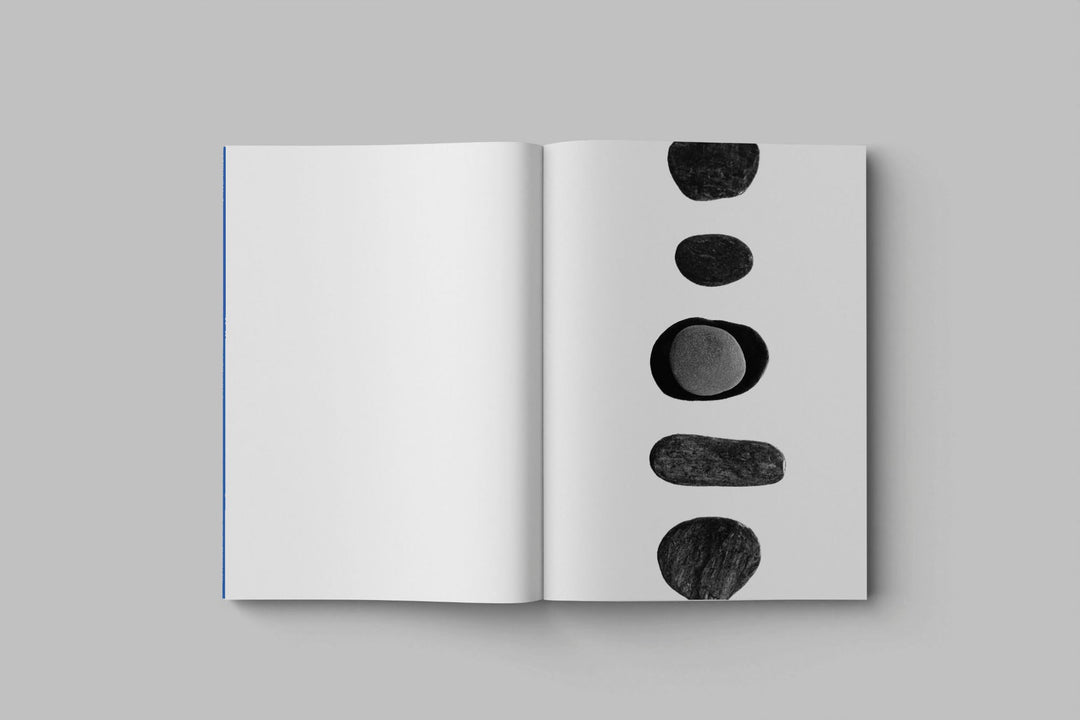 Drifting stones by Paul Cupido - Tipi bookshop