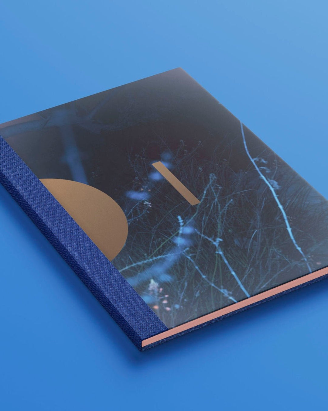 Drifting stones by Paul Cupido - Tipi bookshop