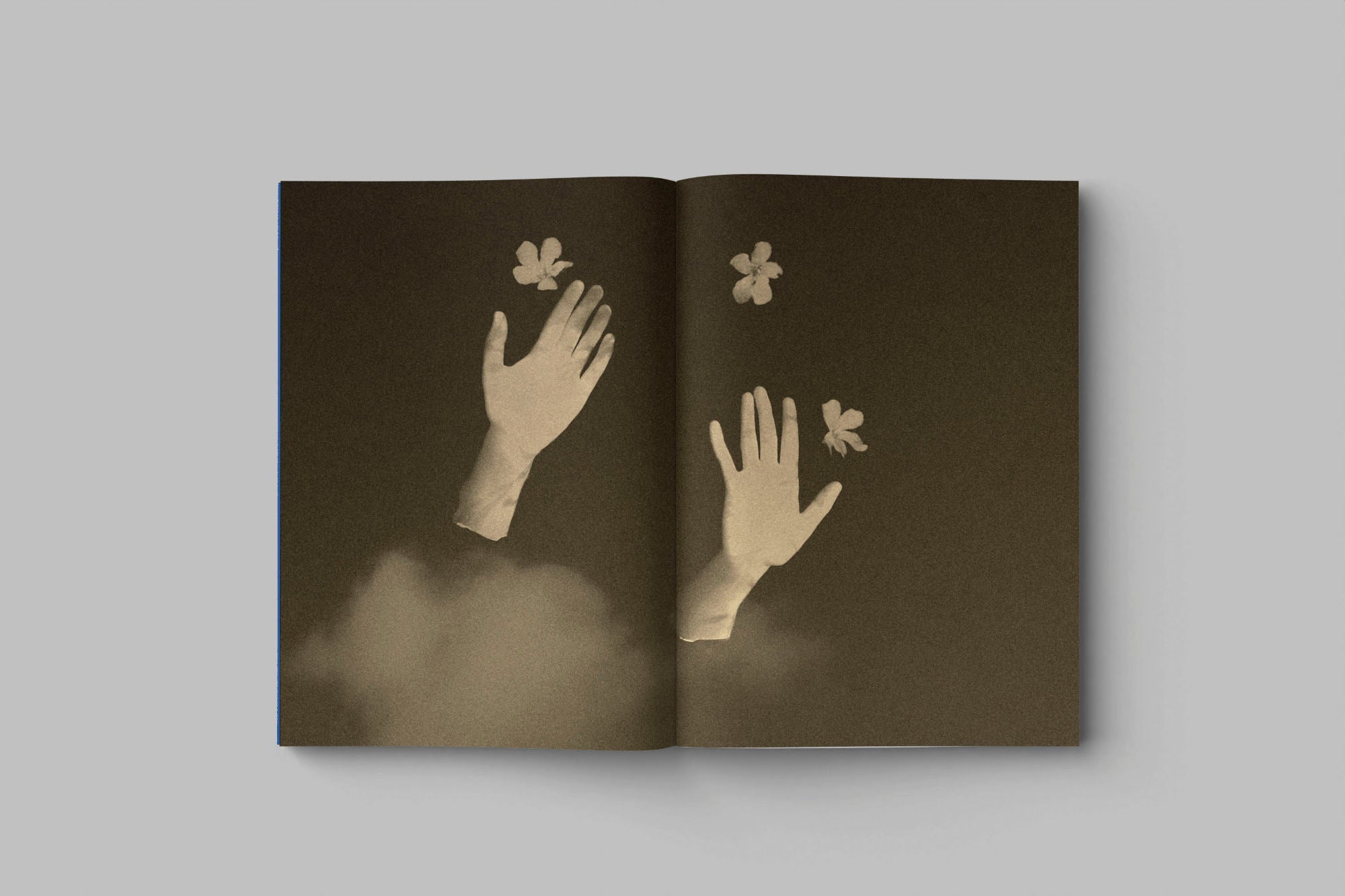 Drifting stones by Paul Cupido - Tipi bookshop