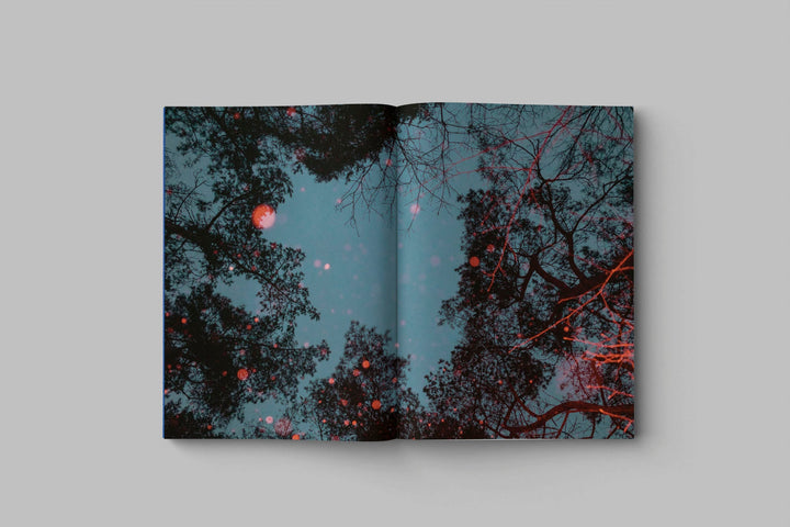 Drifting stones by Paul Cupido - Tipi bookshop
