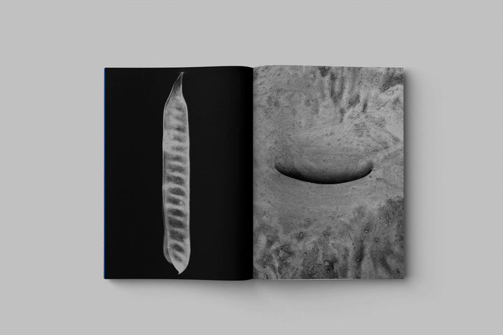 Drifting stones by Paul Cupido - Tipi bookshop