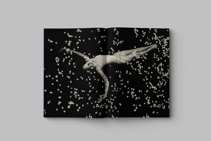Drifting stones by Paul Cupido - Tipi bookshop