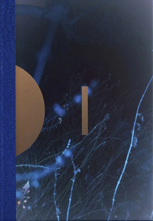 Drifting stones by Paul Cupido - Tipi bookshop