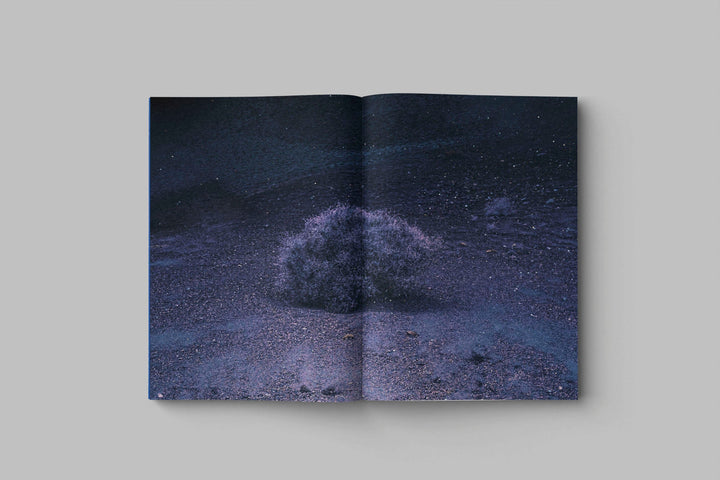 Drifting stones by Paul Cupido - Tipi bookshop