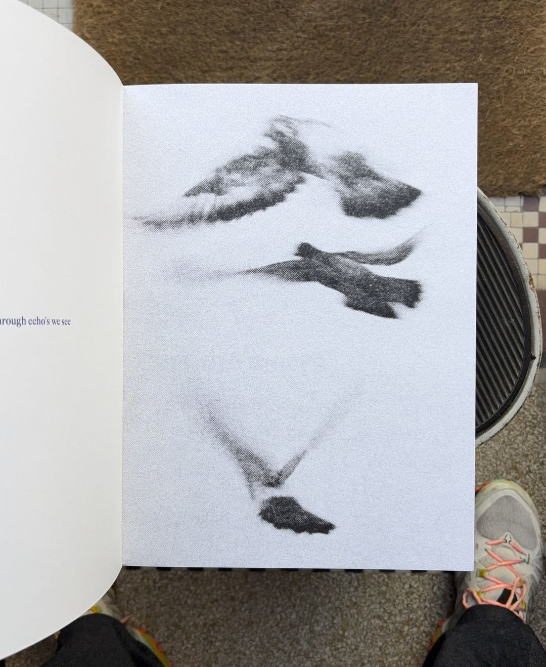 Echo’s Touch by Anna den Drijver - Tipi bookshop