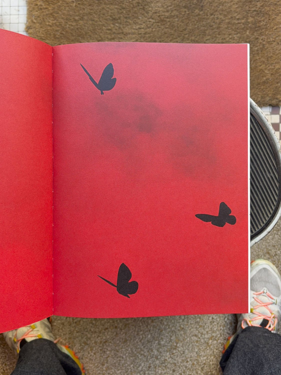 Echo’s Touch by Anna den Drijver - Tipi bookshop