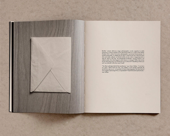 El Jardín de Senderos Que Se Bifurcan by Tarrah Krajnak - Tipi bookshop