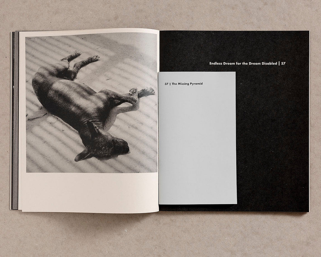 El Jardín de Senderos Que Se Bifurcan by Tarrah Krajnak - Tipi bookshop