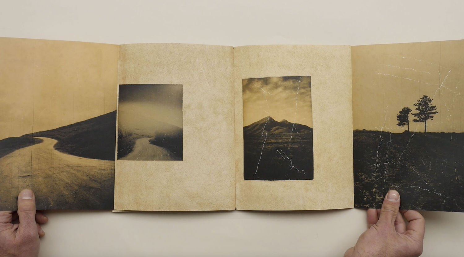 El vuelo lleva al vuelo by Juanan Requena - Tipi bookshop