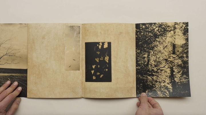 El vuelo lleva al vuelo by Juanan Requena - Tipi bookshop