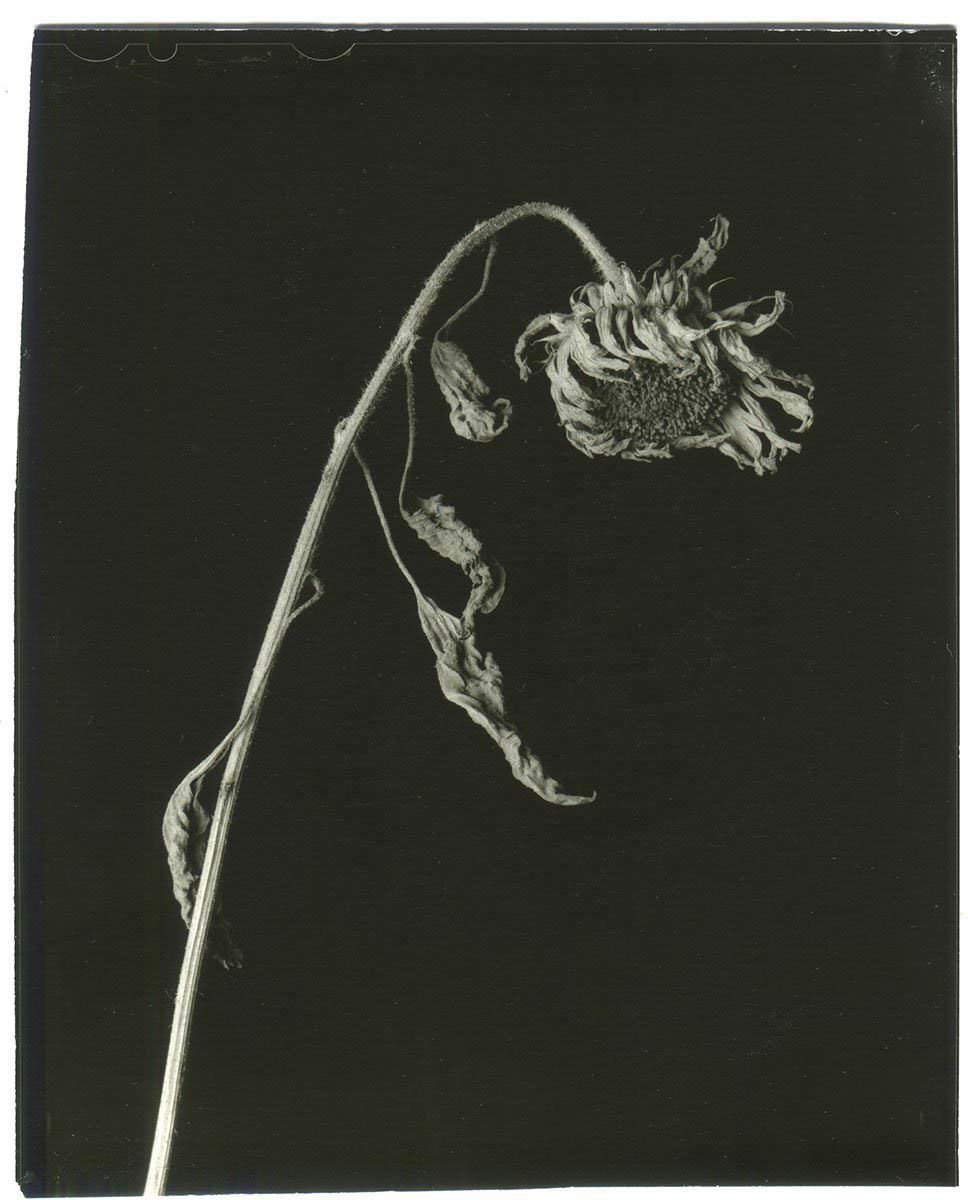 Epitome by Vic Bakin - Tipi bookshop