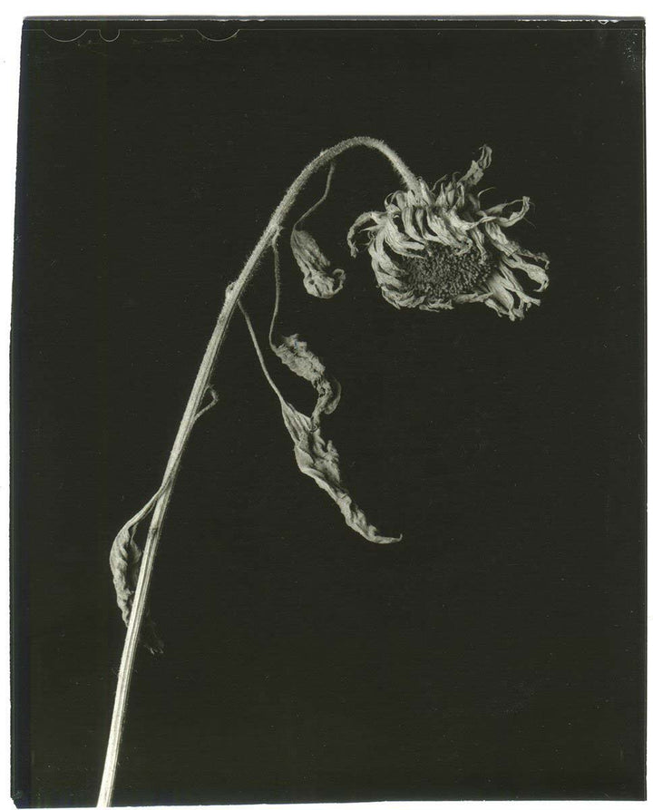 Epitome by Vic Bakin - Tipi bookshop