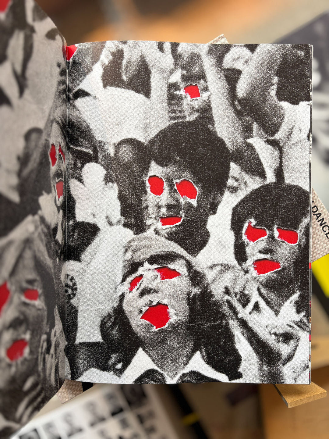 Everybody Dance by Masha Sviatahor - Tipi bookshop