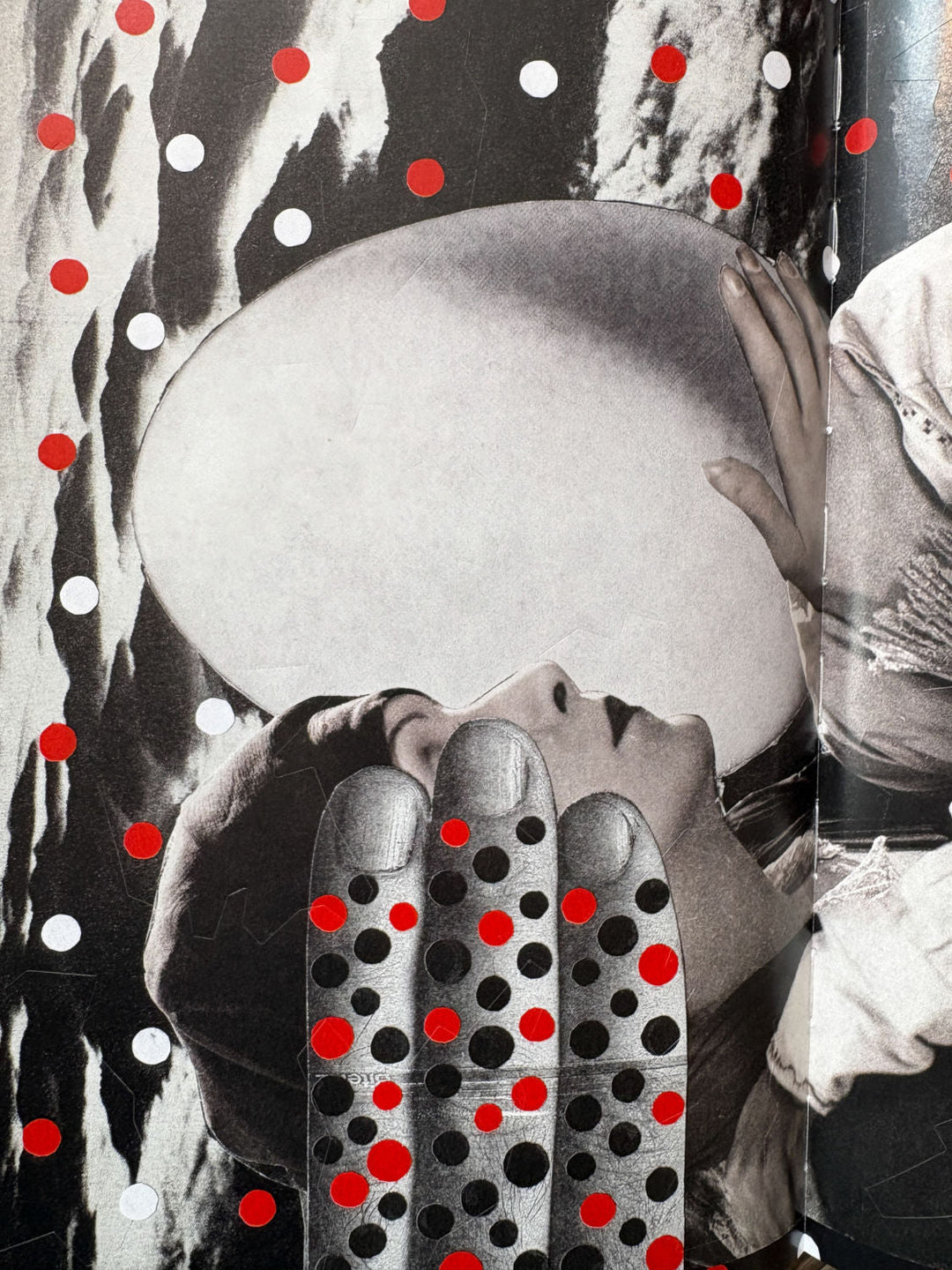 Everybody Dance by Masha Sviatahor - Tipi bookshop