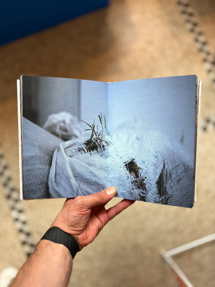 Find me near the chestnut trees by Jule Wild - Tipi bookshop