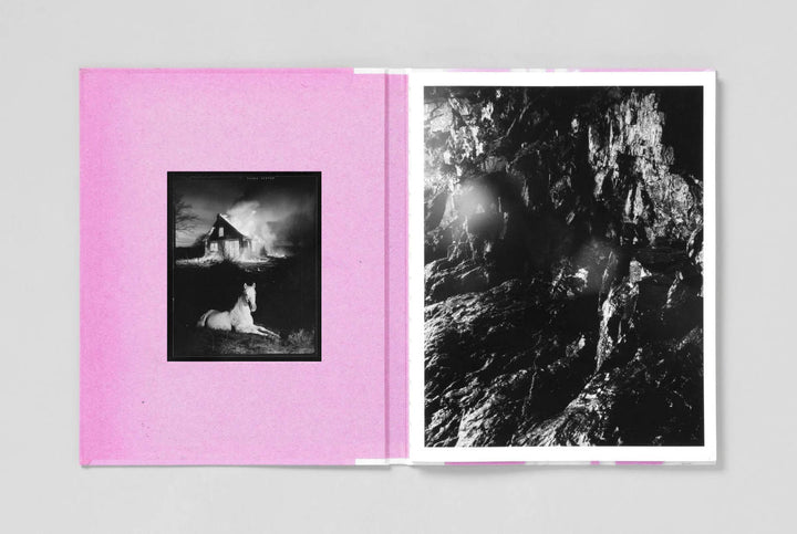 Flowers that Drink the River by Pia - Paulina Guilmoth - Tipi bookshop