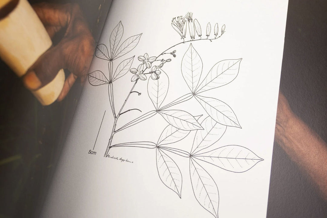 Fourteen Leaves and a Cup of Water by Michelle Piergoelam - Tipi bookshop