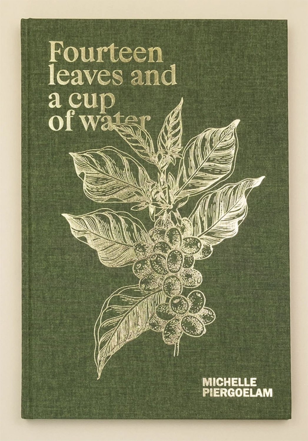Fourteen Leaves and a Cup of Water by Michelle Piergoelam - Tipi bookshop