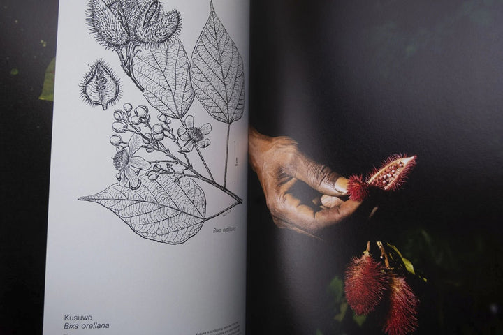 Fourteen Leaves and a Cup of Water by Michelle Piergoelam - Tipi bookshop