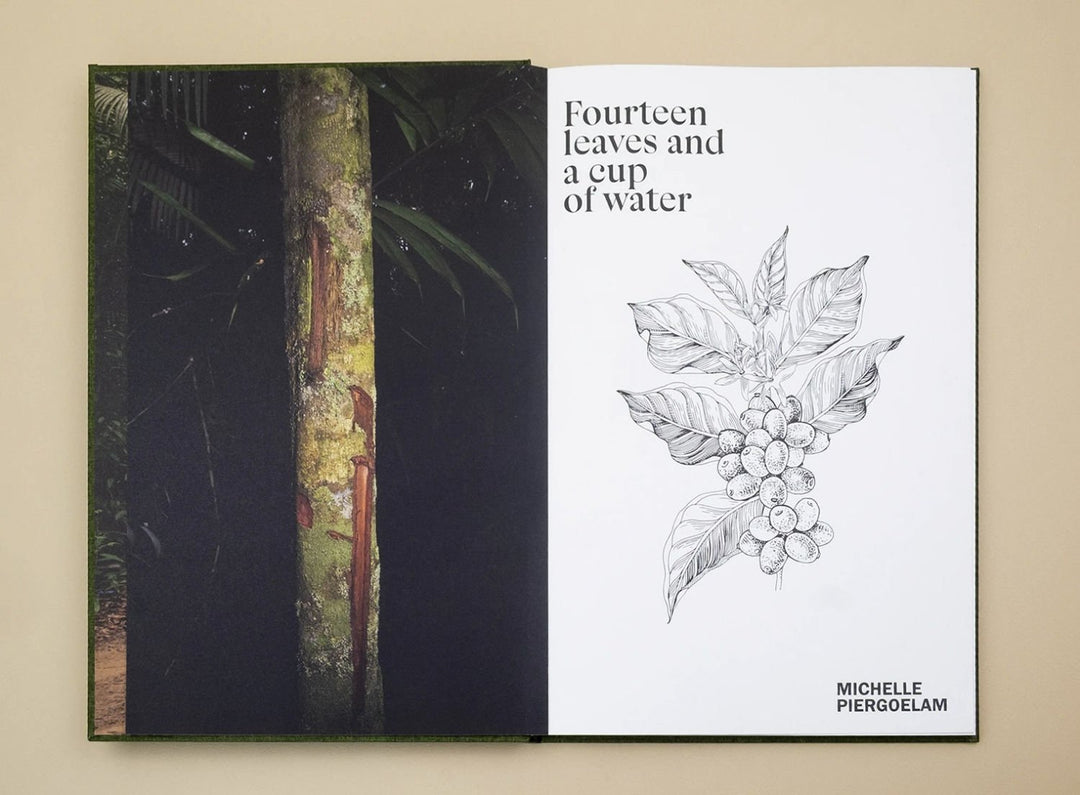 Fourteen Leaves and a Cup of Water by Michelle Piergoelam - Tipi bookshop