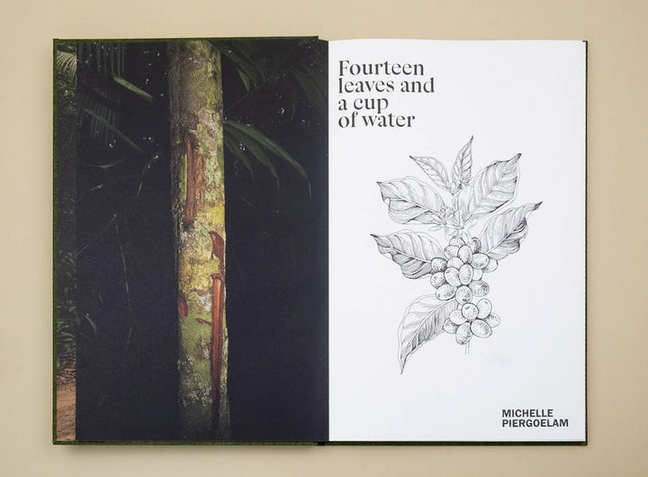 Fourteen Leaves and a Cup of Water by Michelle Piergoelam - Tipi bookshop