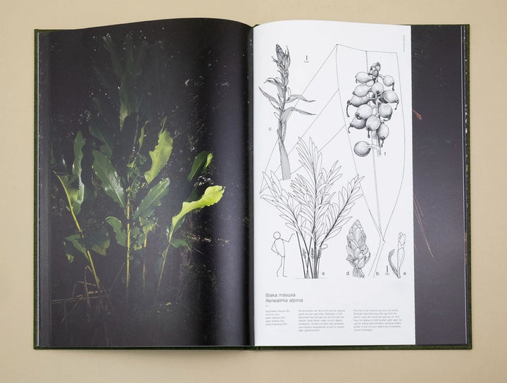 Fourteen Leaves and a Cup of Water by Michelle Piergoelam - Tipi bookshop