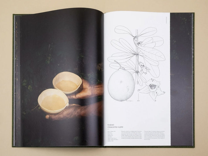 Fourteen Leaves and a Cup of Water by Michelle Piergoelam - Tipi bookshop
