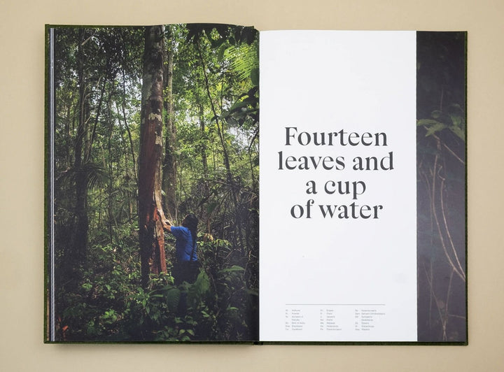 Fourteen Leaves and a Cup of Water by Michelle Piergoelam - Tipi bookshop