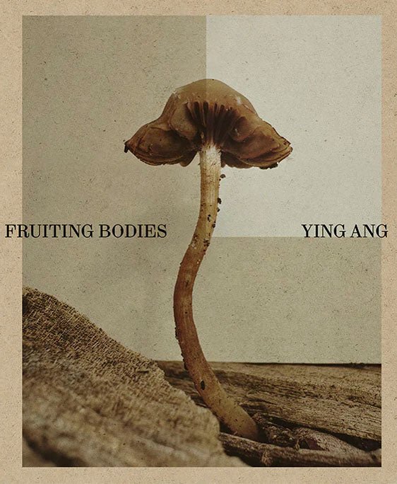 Fruiting Bodies by Ying Ang - Tipi bookshop