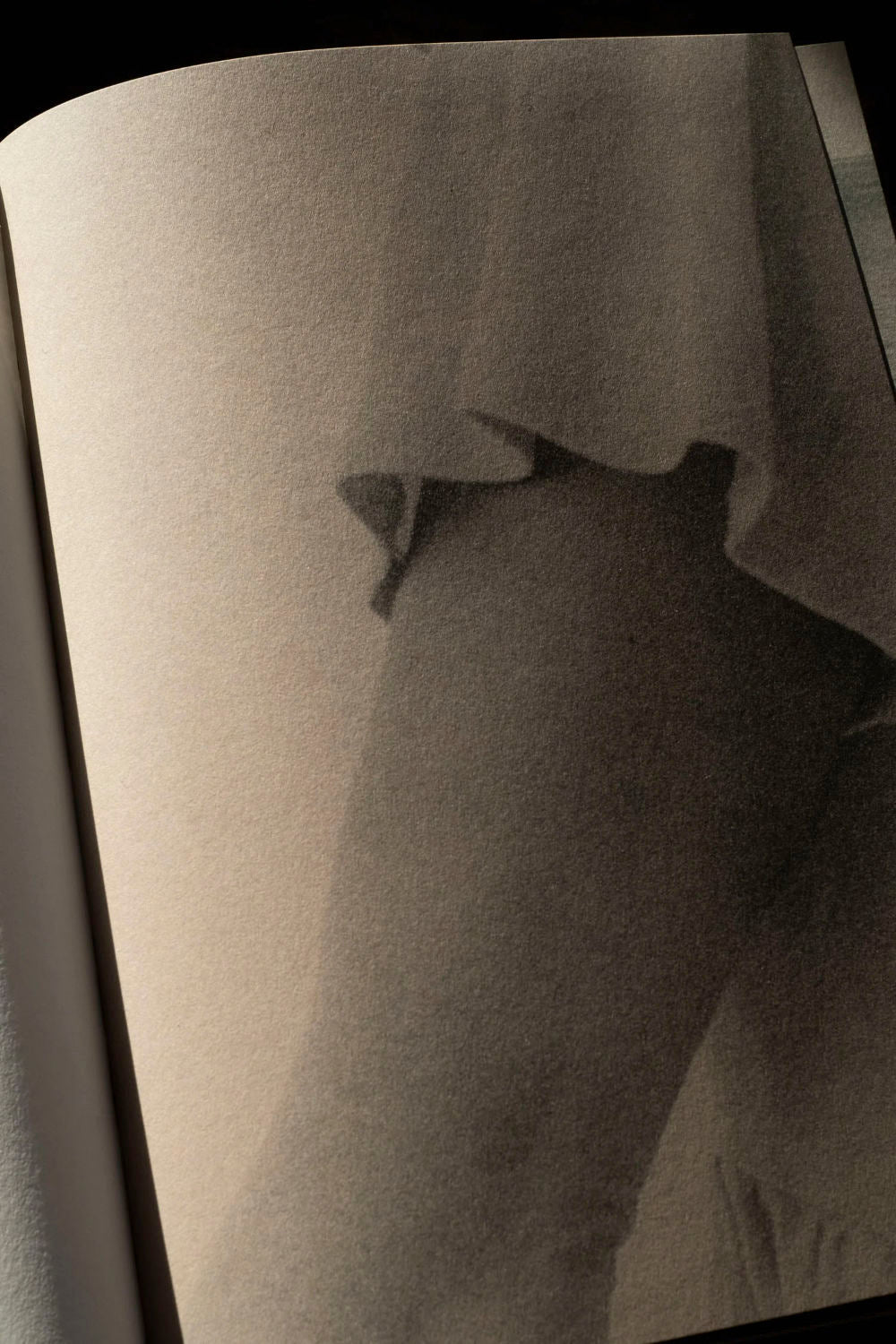 Funiculì Funiculà by Hans Borg - Tipi bookshop