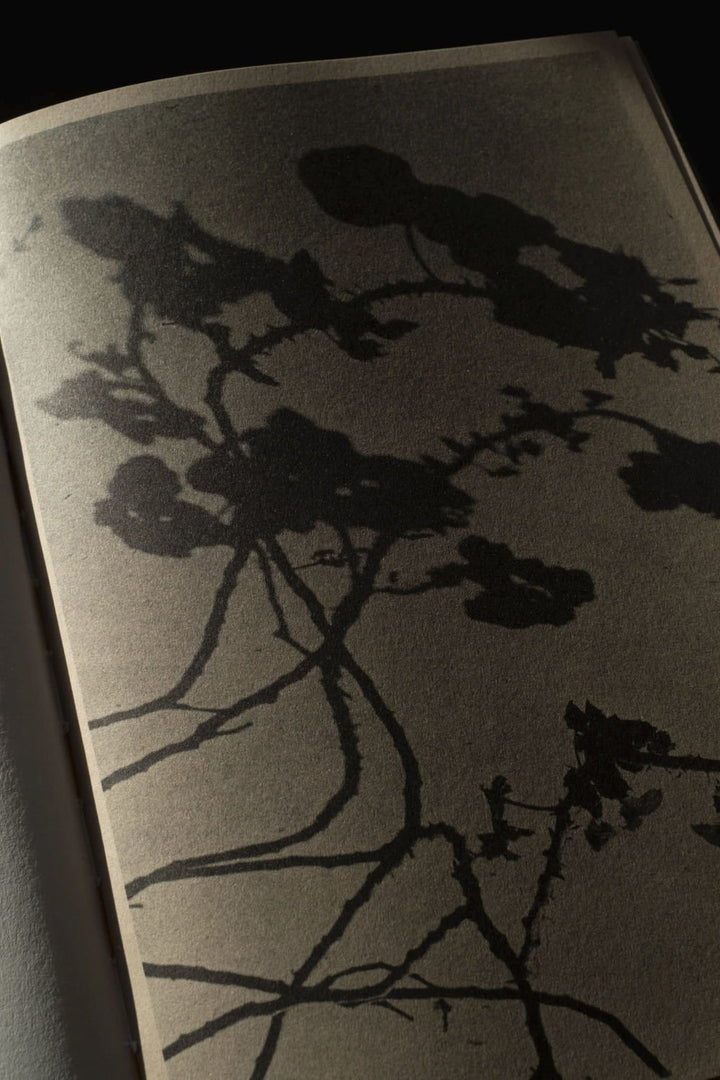 Funiculì Funiculà by Hans Borg - Tipi bookshop