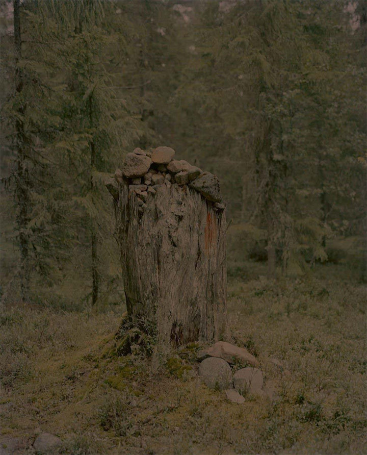 Gertrud by Maja Daniels - Tipi bookshop