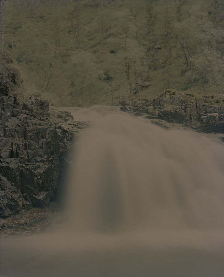 Gertrud by Maja Daniels - Tipi bookshop