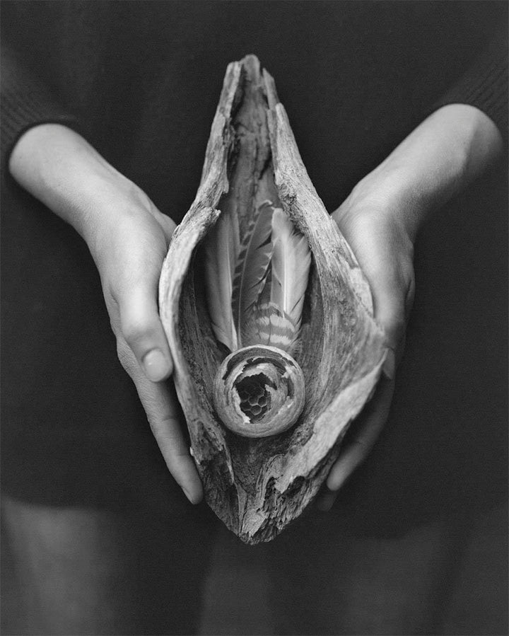 Gertrud by Maja Daniels - Tipi bookshop